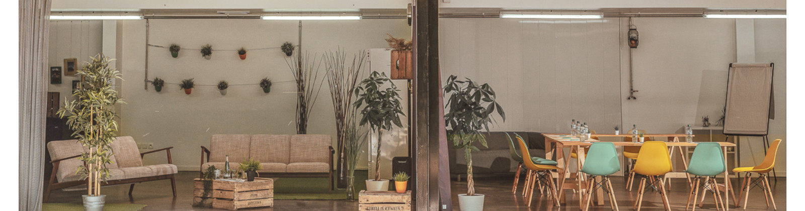 OLEVENE image - VOLVIC ORGANIC RESORT DYPTIQUE BD © Nicolas Anetson--